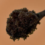 Black Tobiko  (Flying fish roe)